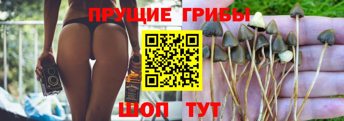 Усть-Илимск  цена наркотик  Галлюциногенные грибы Psilocybine cubensis  Вход с VPN  Псилоцибиновые грибы мицелий 